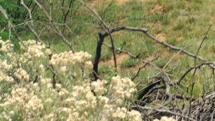 Commercial Property for Sale in Highveld Free State